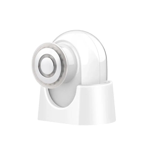 Mini Facial RF Instrument