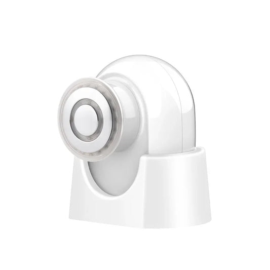 Mini Facial RF Instrument